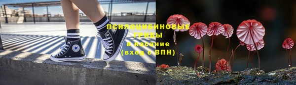 мяу мяу мука Рославль