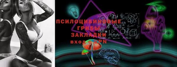 мяу мяу мука Рославль