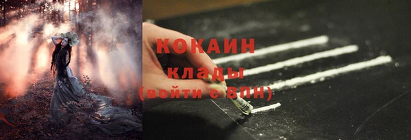 трава Протвино
