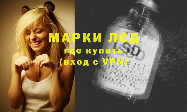 мяу мяу мука Рославль